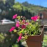 Fontanavecchia Гостевой дом Вернацца