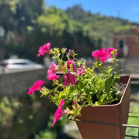 Fontanavecchia Affittacamere Vernazza