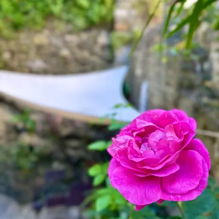 Fontanavecchia Affittacamere