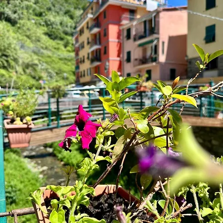 Fontanavecchia Vernazza