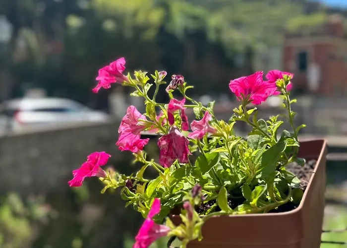 Fontanavecchia Vendégház Vernazza