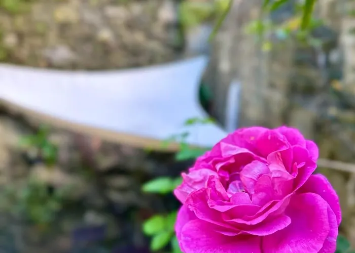 Fontanavecchia Casa de hóspedes