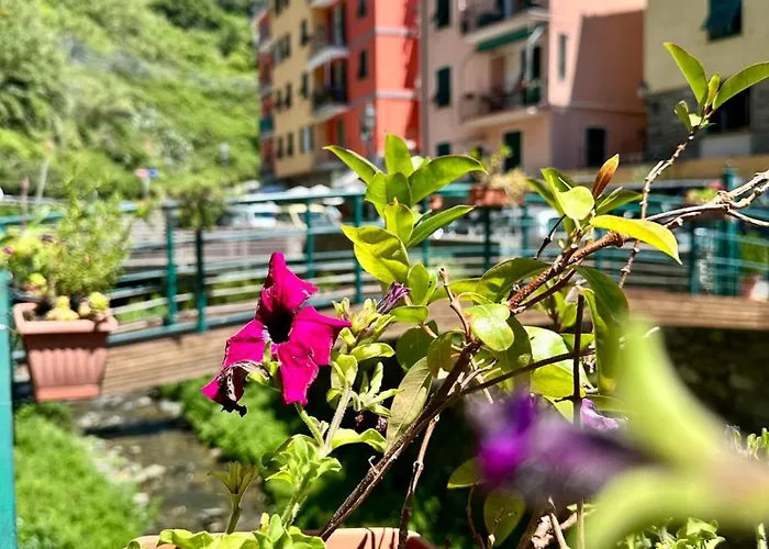 Fontanavecchia Vernazza